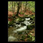 Malá Fatra III - Šútovský potok