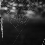 ..o rozdrobeném lanu...