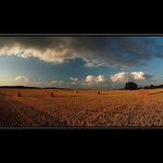 Letní podvečer II...