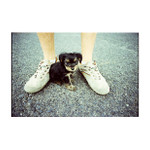 čižmoň der größte Hund