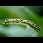 = Na šikmé ploše =