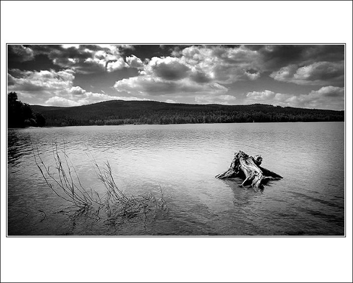 .: LIPNO V. :.