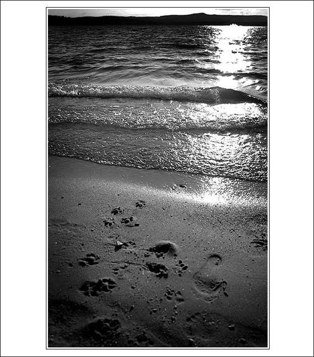 .: LIPNO VI. :.