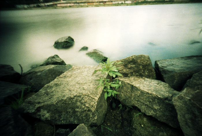 u Vltavy