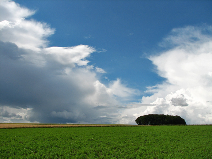 Fields of Scotland