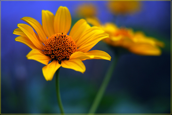 Afternoon shot...