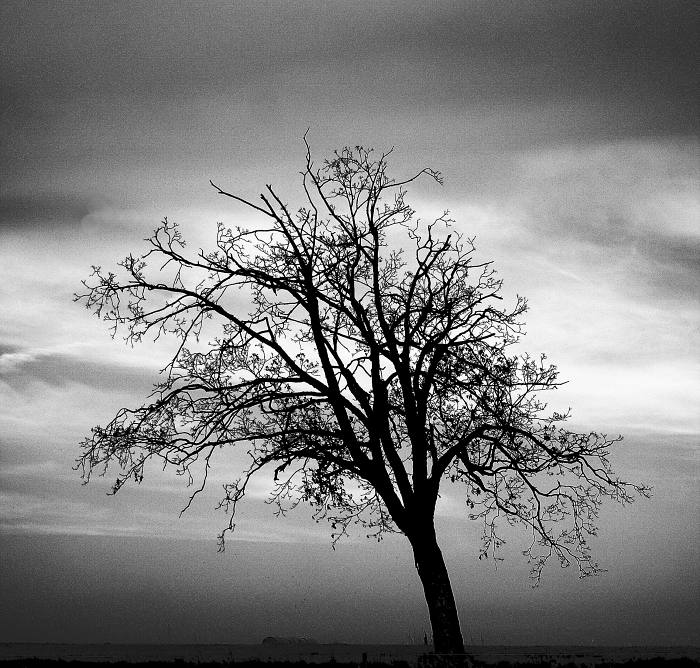 strom...