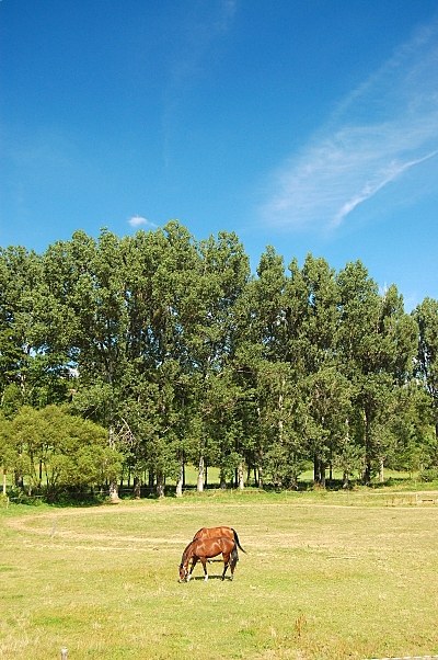 Z letního cestování