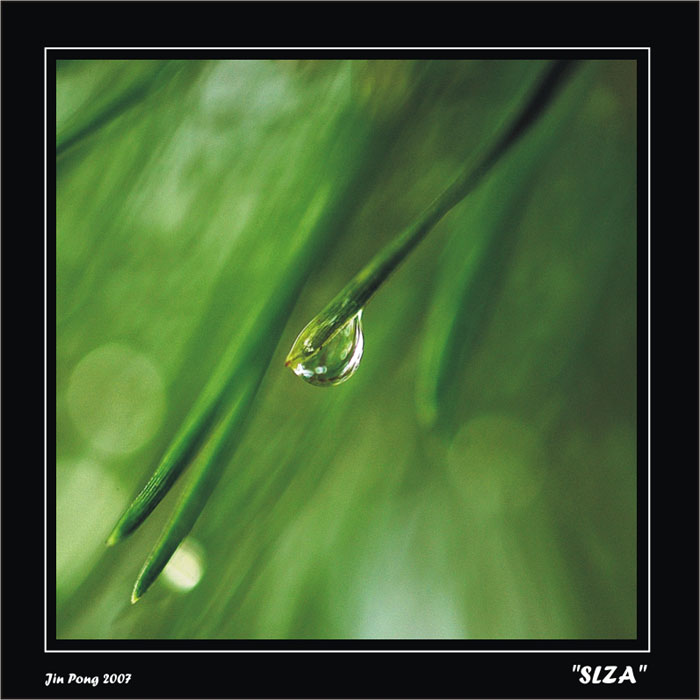 "SLZA"
