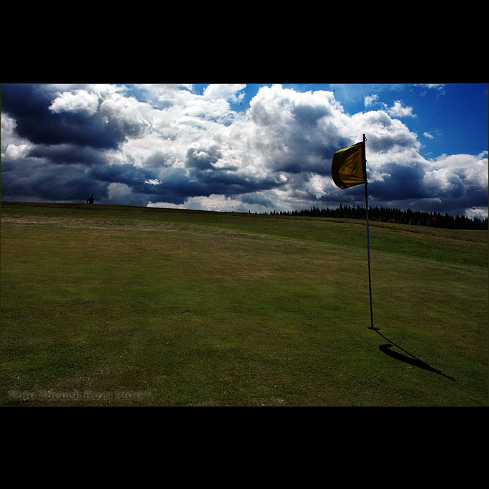...golfista...