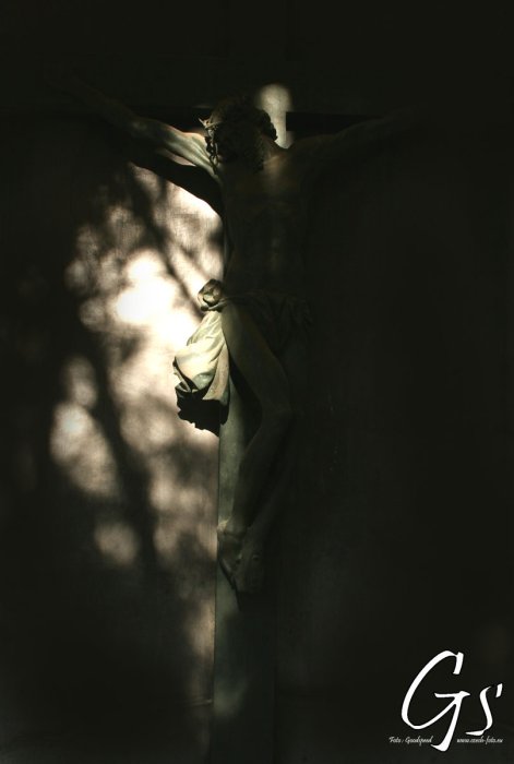 jesus star
