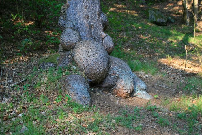 Co mi to jenom připomíná ?!!