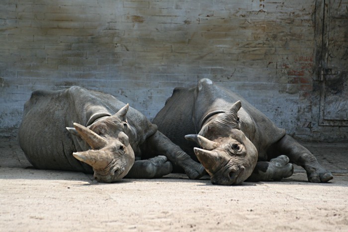 synchronizovaný odpočinek