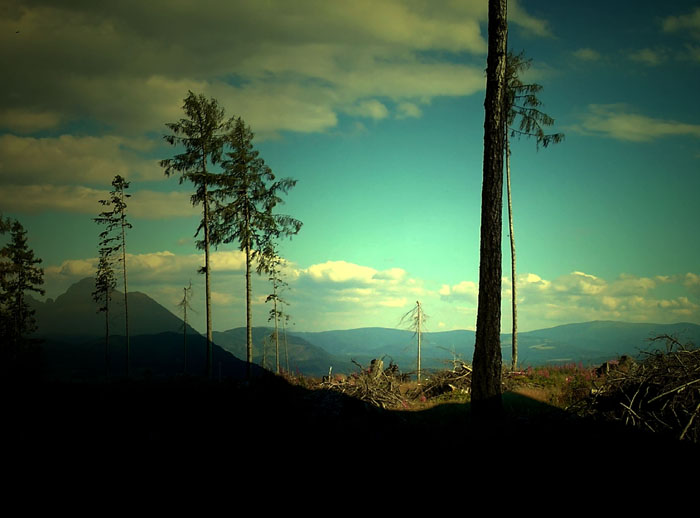 Tatry