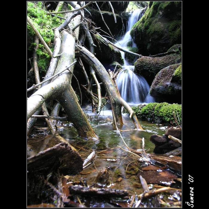 Šumava