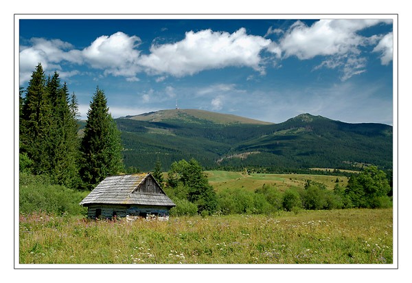 Pod Kráľovou hoľou
