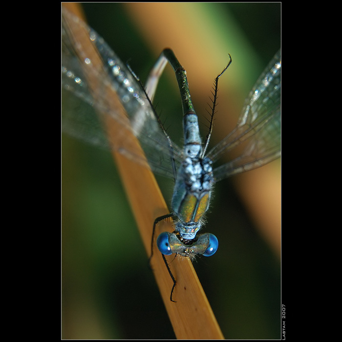 Postavené na hlavě...