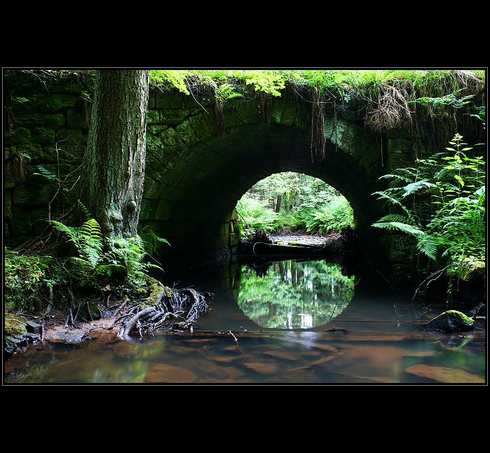 Forgotten bridge II