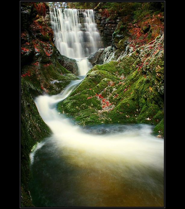Autumn stream