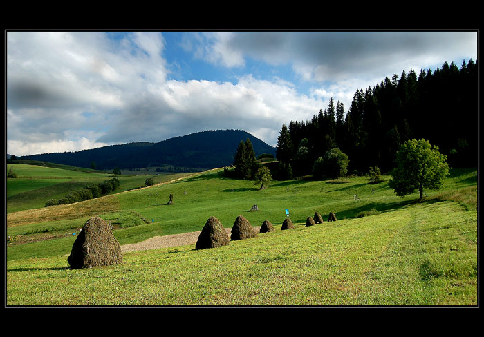 orava