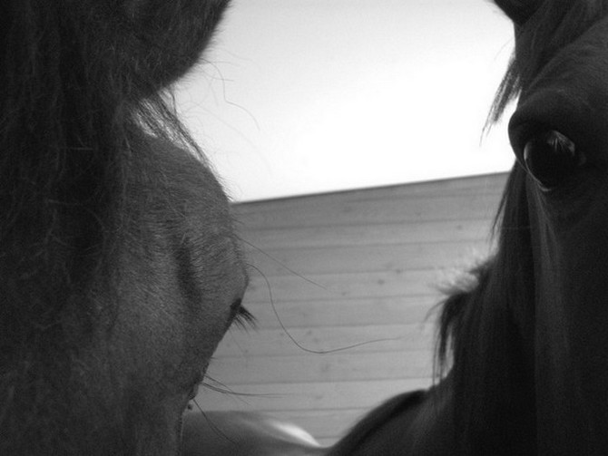 Dvě spřízněné duše