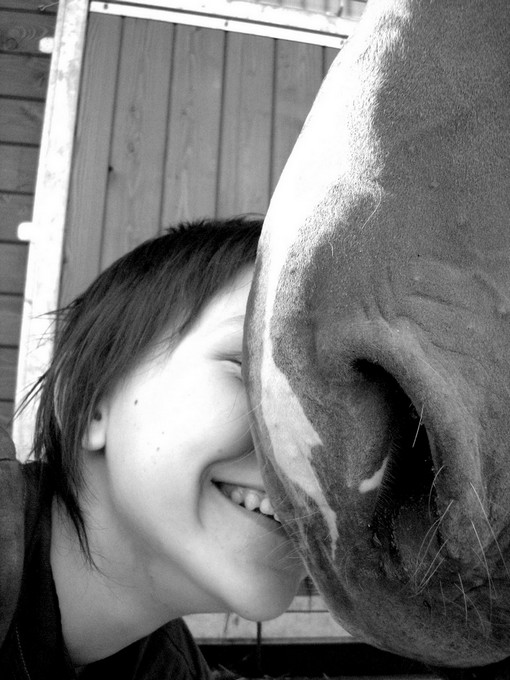 Horsey