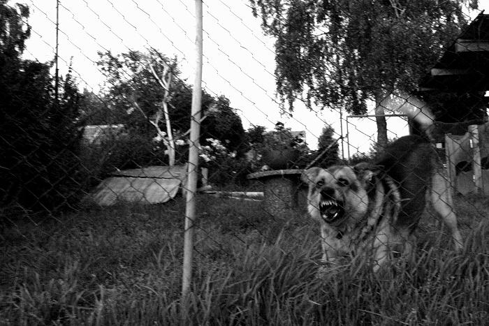 attack