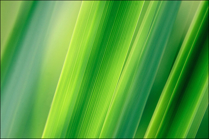 Green.......