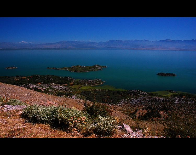 ...Skadarské jezero II...