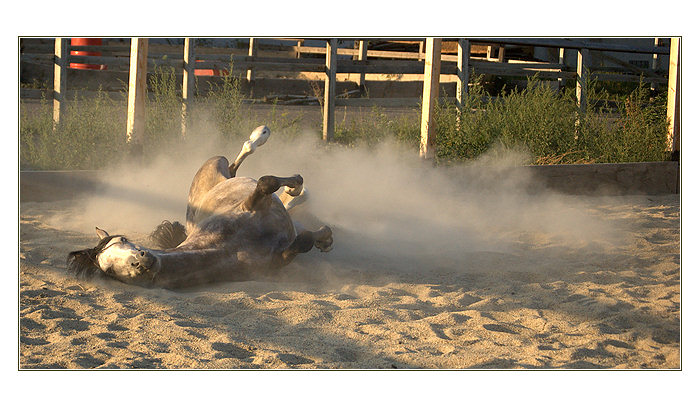 Jezis, oni ma sleduju!!! :)