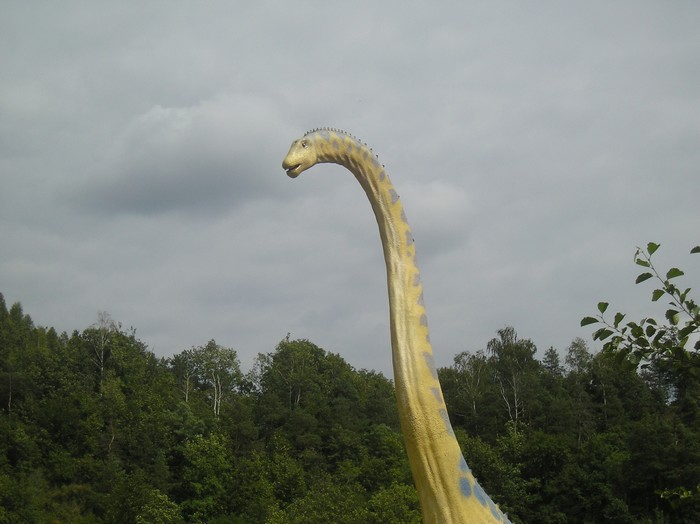 Diplodocus
