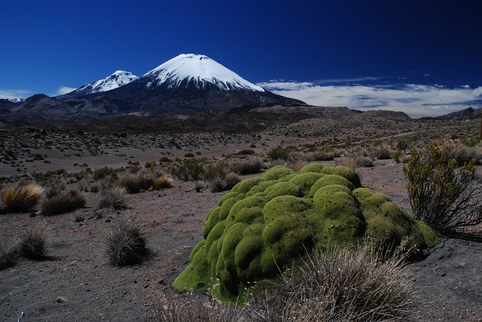 Parinacota