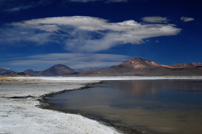 Salar de surire