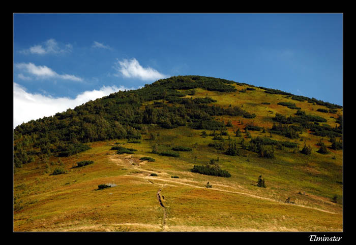 Blueberry Hill