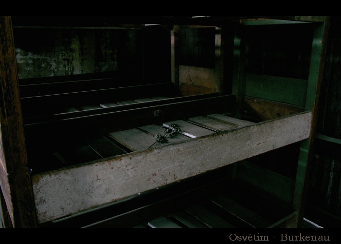 My house, my grave.