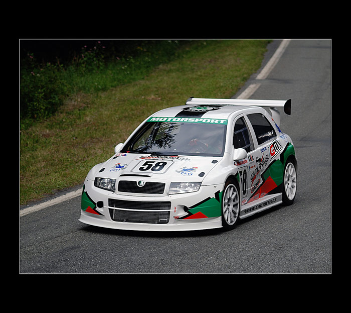 Fabia WRC