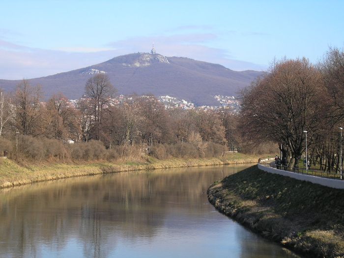 Zbor