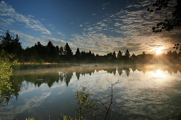 Svítání