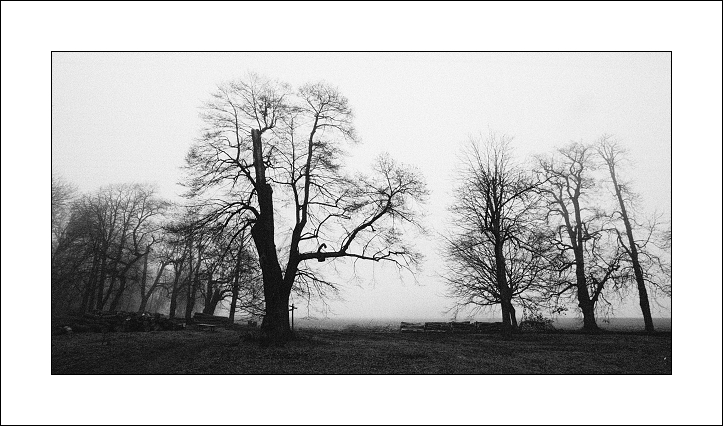 Návraty do veltruského parku XXVIII - serie 2/3