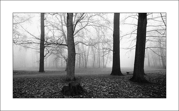 Návraty do veltruského parku XXVIII - serie 3/3