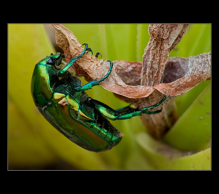 Držííím a nepustím!