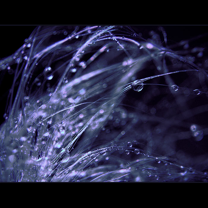 ***o°oO°o°O°°o***