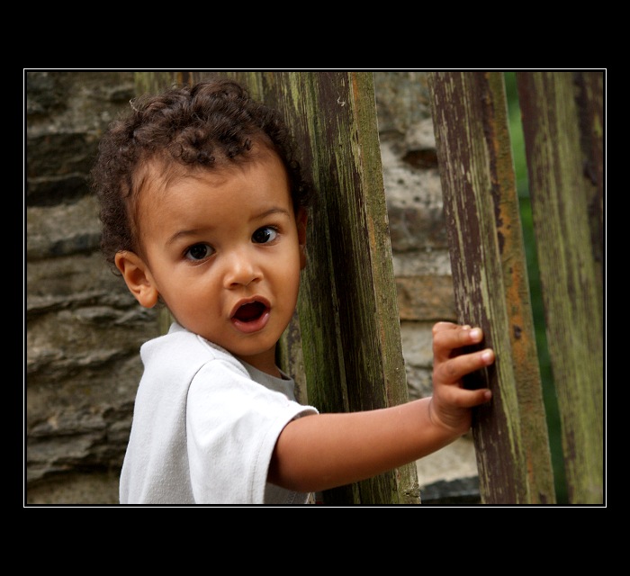 Gypsy Celebration 2007 (I)