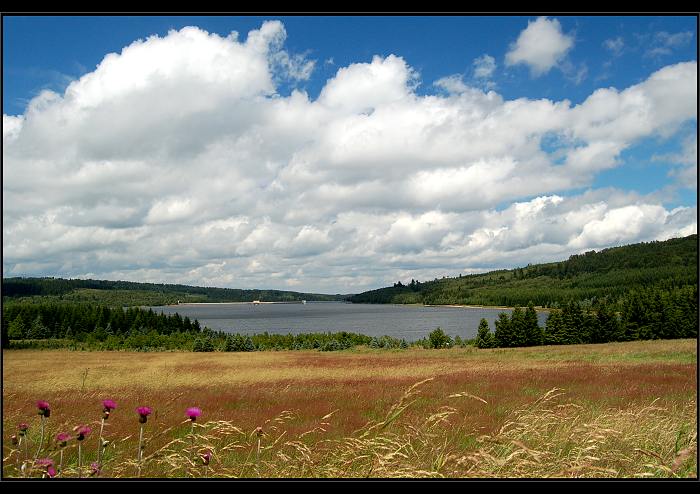 přísešnice