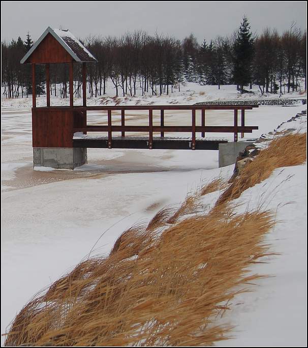 Novodomský rybník (Krušnohorský )
