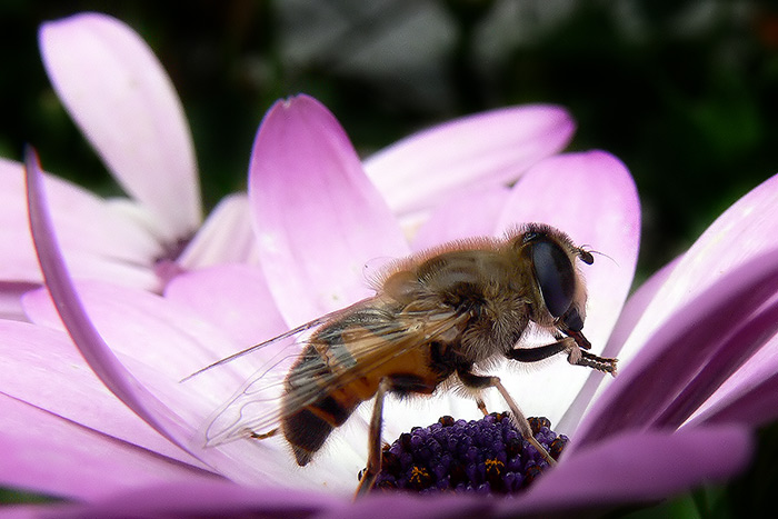 A teraz si dám do nosa