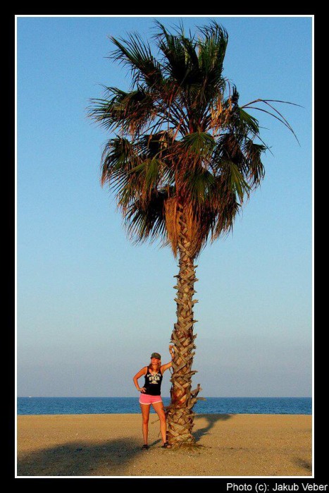 Lucka a palma