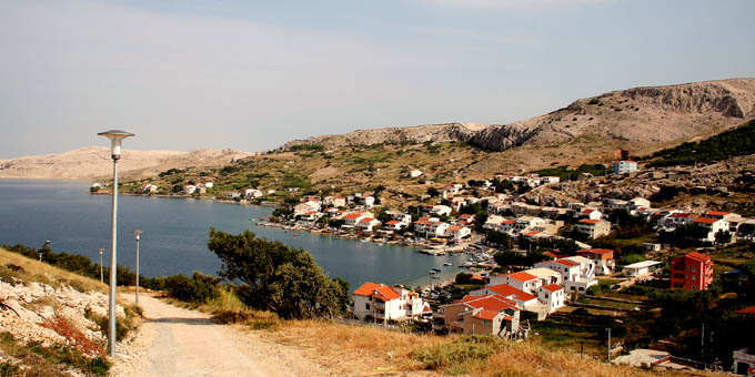 Metajna