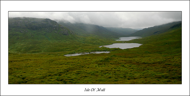 Scottish II.