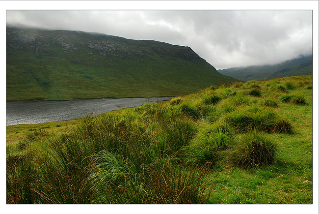 simply Scottish :)